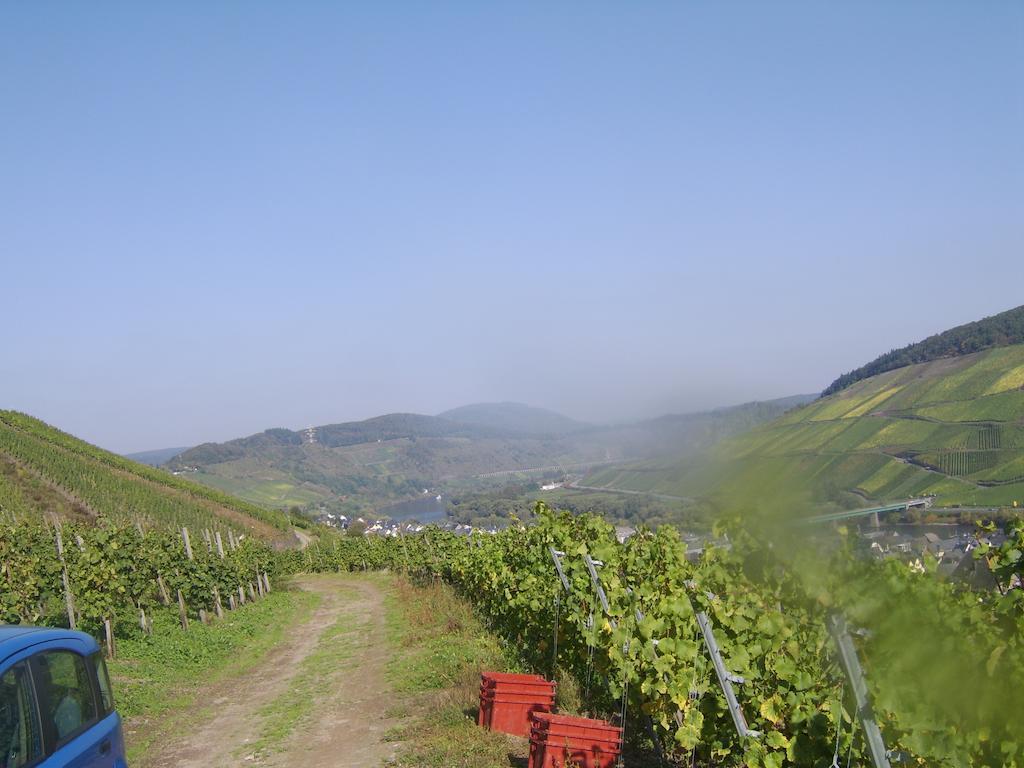 Apartamento Weingut Matthias Dauns Reil Exterior foto