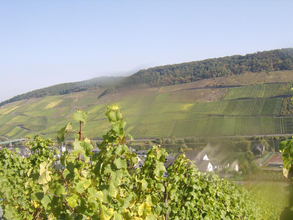 Apartamento Weingut Matthias Dauns Reil Exterior foto