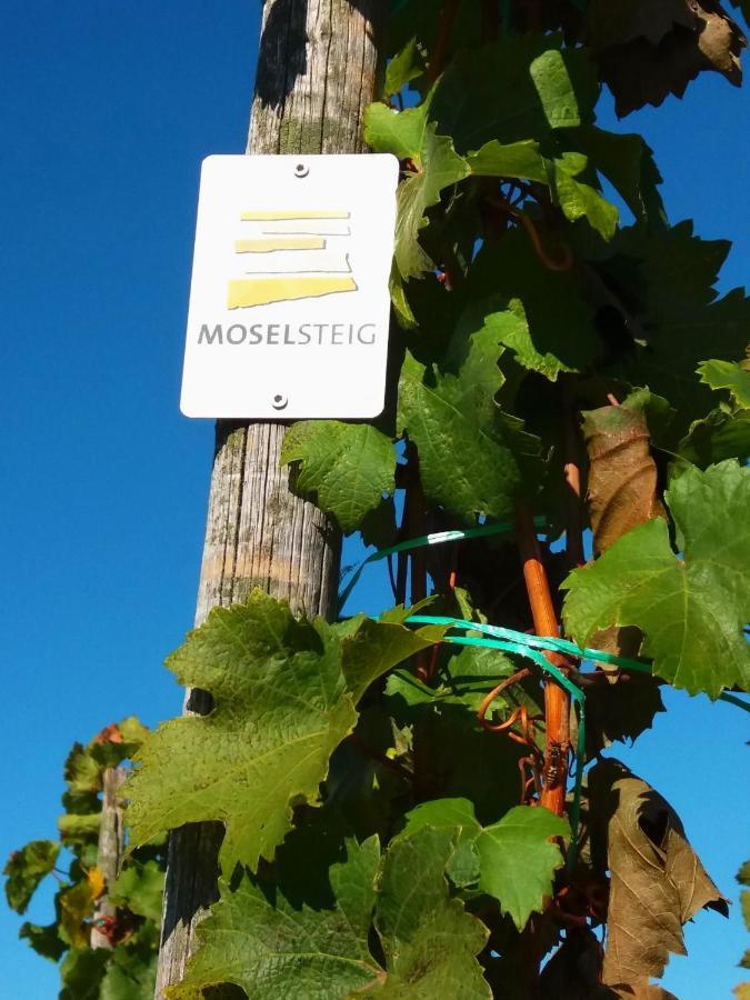Apartamento Weingut Matthias Dauns Reil Exterior foto