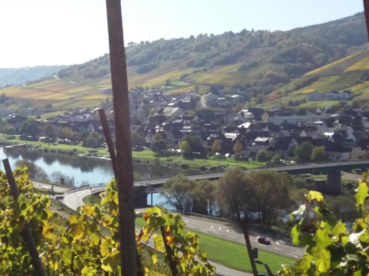 Apartamento Weingut Matthias Dauns Reil Exterior foto